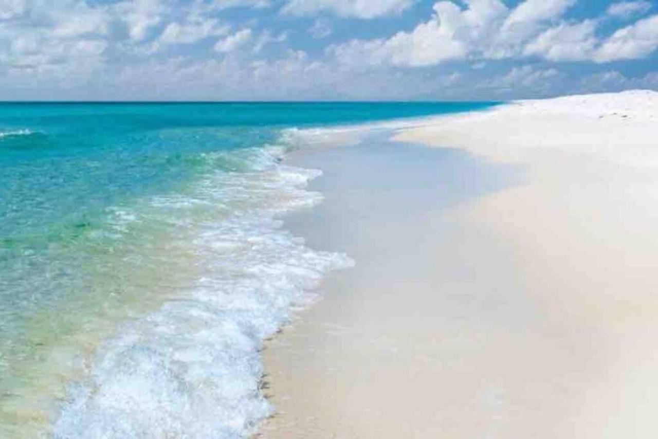 Walk To Downtown Seafood Market Bay Views Pensacola Dış mekan fotoğraf